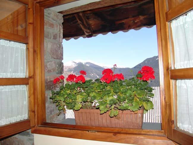 Casa Palacin Gistaín エクステリア 写真